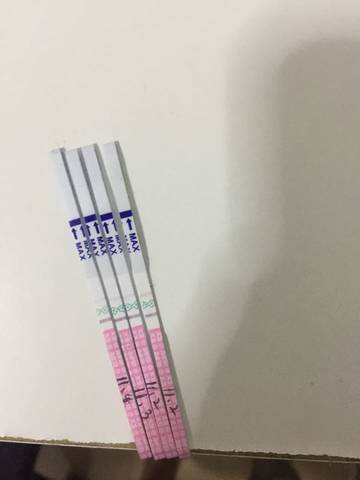 journal_insert_pic_607270808