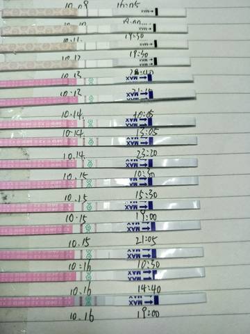 journal_insert_pic_609896430