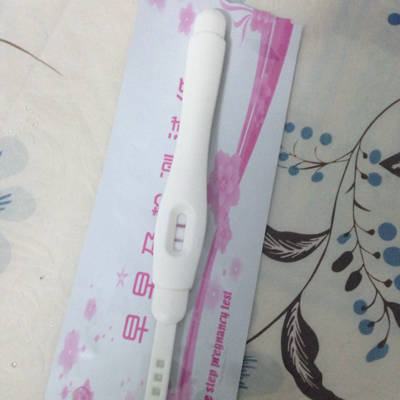 journal_insert_pic_609946377