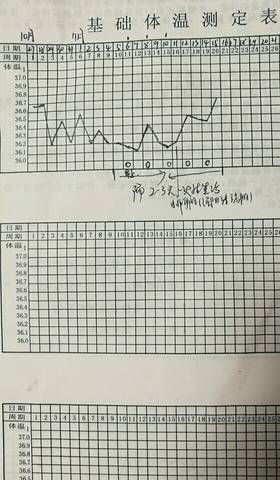 多囊怎么这么艰辛_排卵后基础体温也只有36.6,是不是没希望_宝宝树