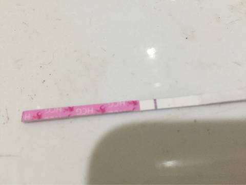journal_insert_pic_610475656