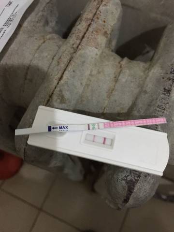 journal_insert_pic_610599692