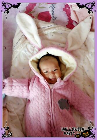 journal_insert_pic_610747289