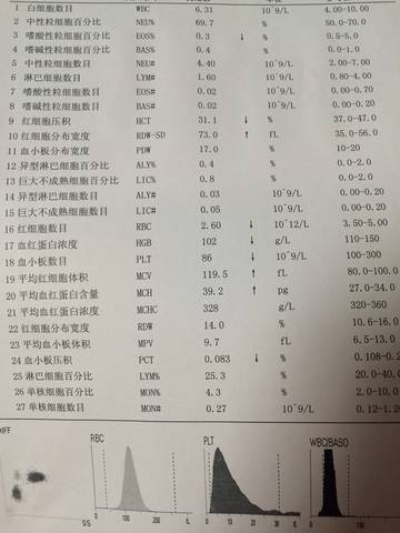 journal_insert_pic_611102743