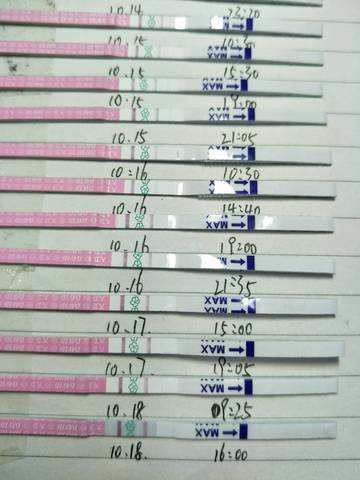 journal_insert_pic_611030365