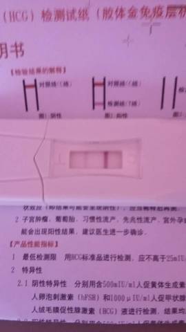 journal_insert_pic_612121483