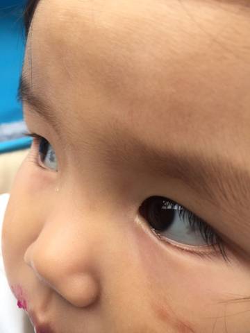 journal_insert_pic_612239794