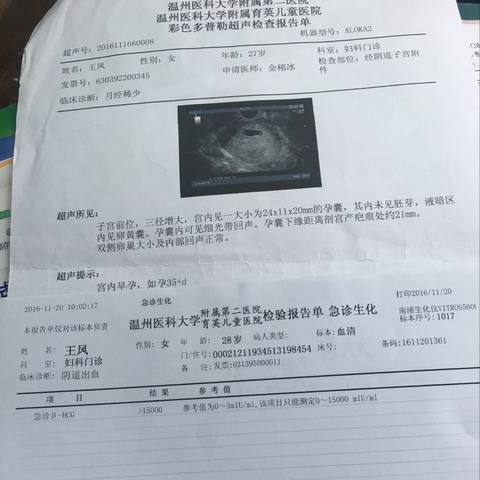 journal_insert_pic_612092081
