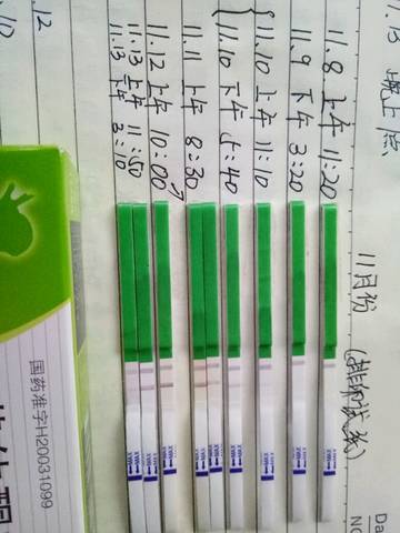 journal_insert_pic_612444521