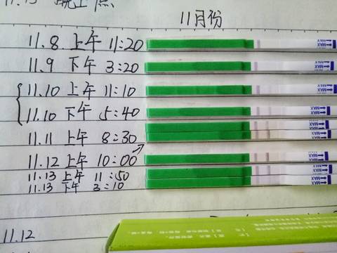 journal_insert_pic_612444512
