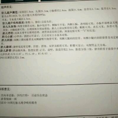 journal_insert_pic_613273204