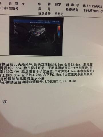 journal_insert_pic_613367220