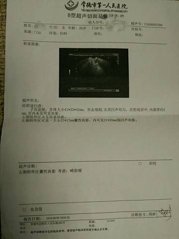 journal_insert_pic_613393828