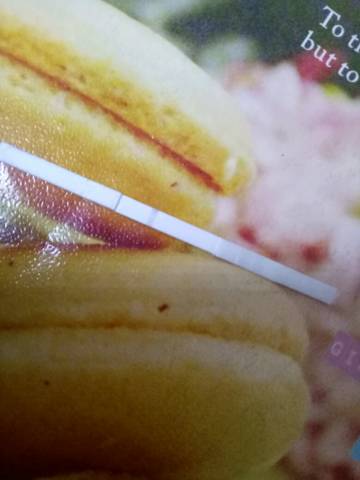 journal_insert_pic_613883926