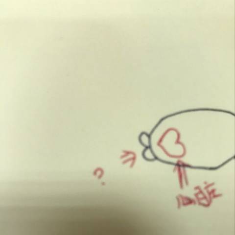 journal_insert_pic_615244104