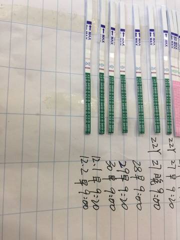 journal_insert_pic_618554291