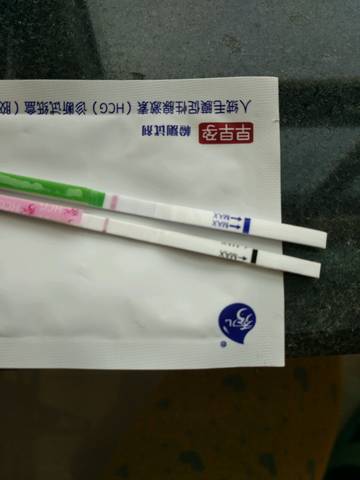 journal_insert_pic_619138201