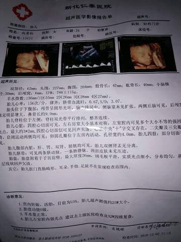 journal_insert_pic_619221715