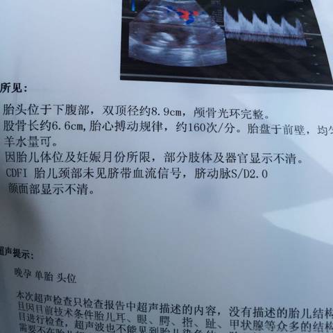 journal_insert_pic_620609609