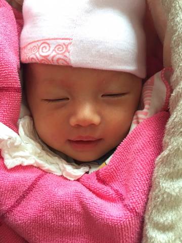 journal_insert_pic_621128644
