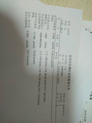 journal_insert_pic_624058314