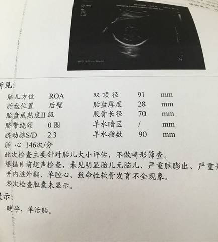 journal_insert_pic_624541504