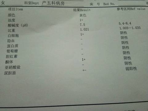 journal_insert_pic_624660643