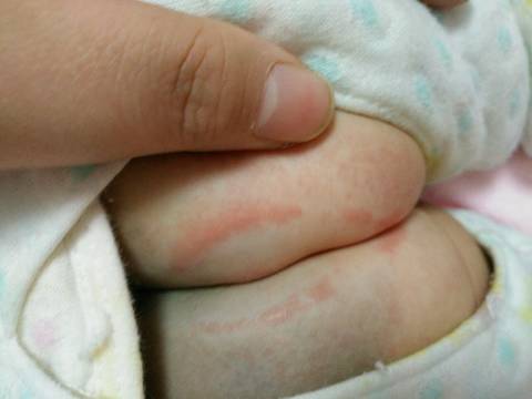 journal_insert_pic_624680067