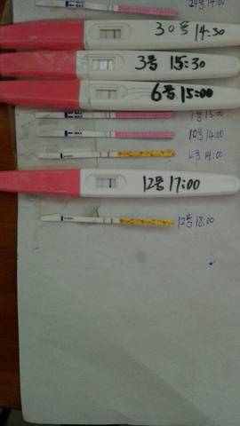journal_insert_pic_624698331