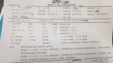 journal_insert_pic_625481683