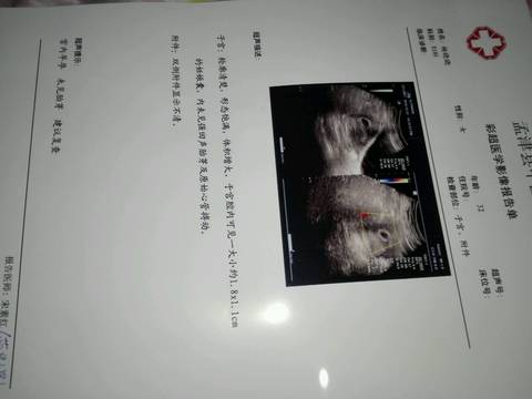 journal_insert_pic_625233212