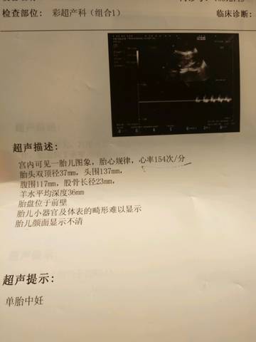 journal_insert_pic_626994705