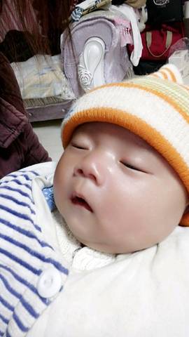 journal_insert_pic_626907795