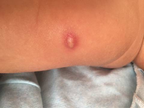 journal_insert_pic_626883519