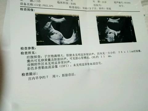 journal_insert_pic_627766347