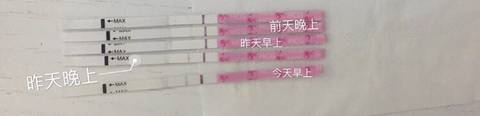 journal_insert_pic_627572433