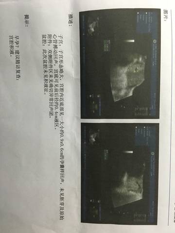 journal_insert_pic_628319607