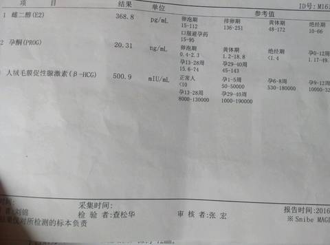 journal_insert_pic_628867535