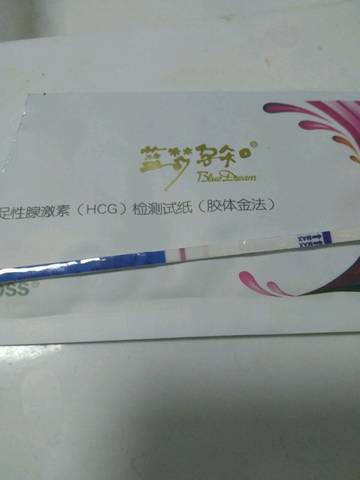 journal_insert_pic_628682663