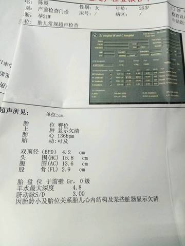 journal_insert_pic_628678510