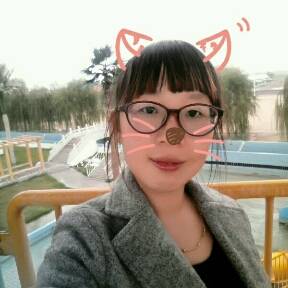 journal_insert_pic_629444093