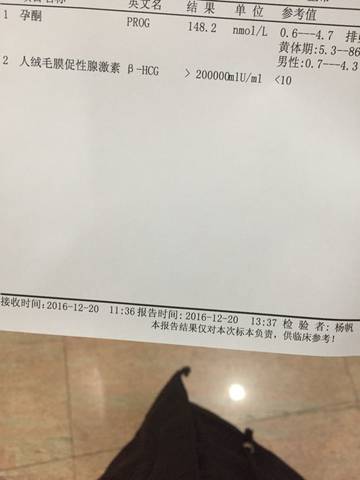 journal_insert_pic_629731240