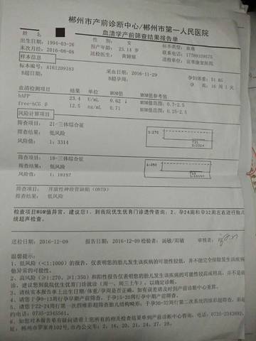 journal_insert_pic_630529446