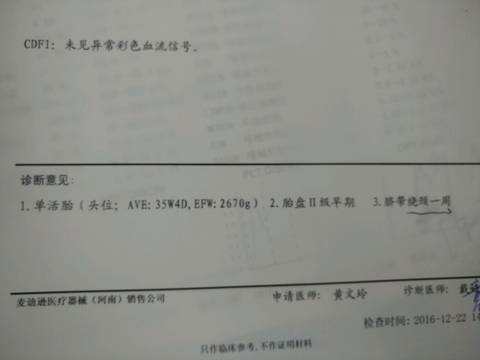 journal_insert_pic_631027621