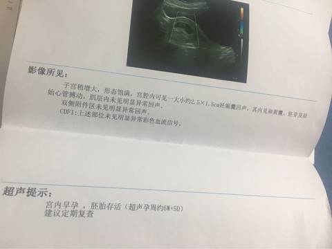 journal_insert_pic_631596292