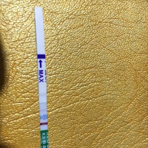journal_insert_pic_633212439