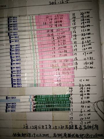 journal_insert_pic_633443986