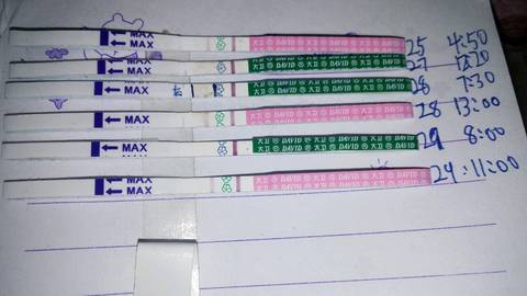 journal_insert_pic_636152957