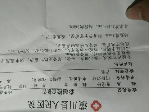 journal_insert_pic_638304371