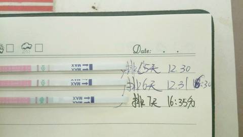 journal_insert_pic_638231076